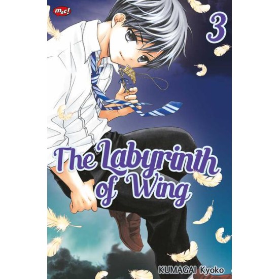 The Labyrinth of Wing 03