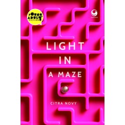 Light in a Maze Light in a Maze