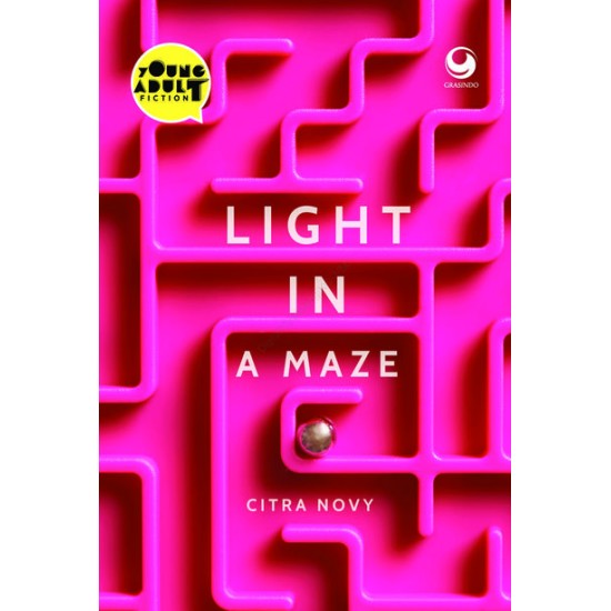 Light in a Maze