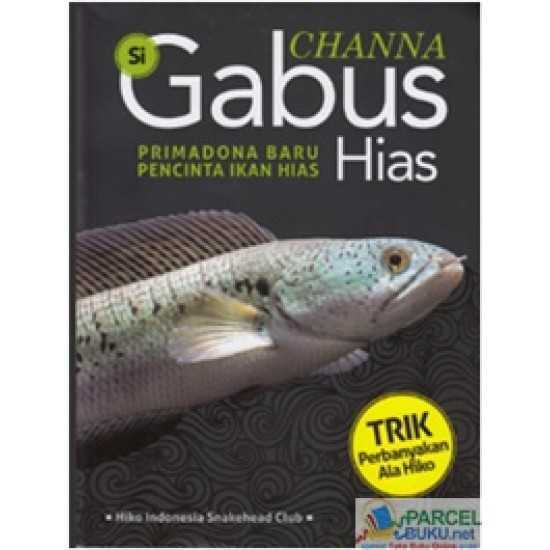 Channa Si Gabus Hias