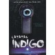 Catatan Indigo