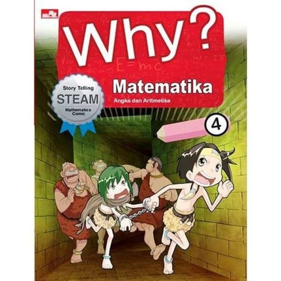 Why? Matematika 4