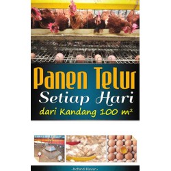 Panen Telur Setiap Hari Dari Kandang 100 M2 Panen Telur Setiap Hari Dari Kandang 100 M2