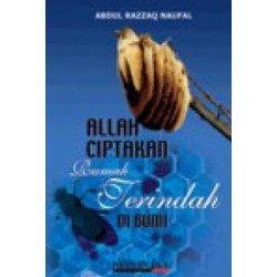 Allah Ciptakan Rumah Terindah di Bumi Allah Ciptakan Rumah Terindah di Bumi