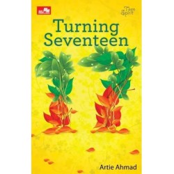 Turning Seventeen Turning Seventeen