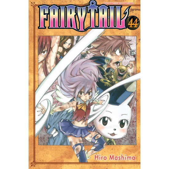 Fairy Tail 44