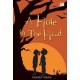 TeenLit: A Hole in The Head
