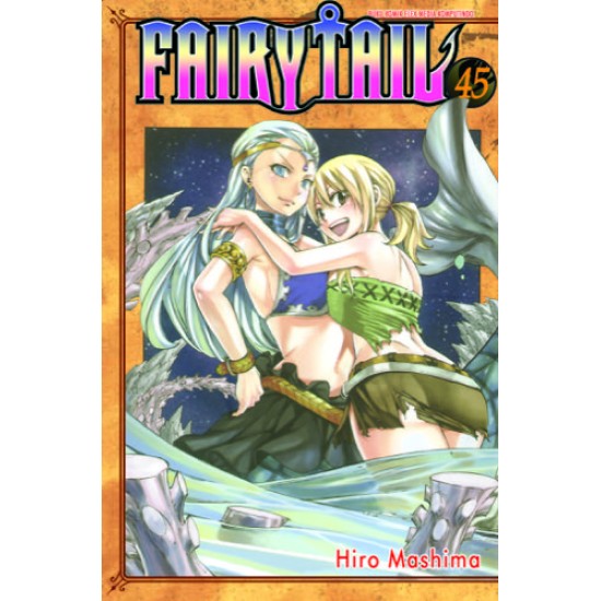 Fairy Tail 45