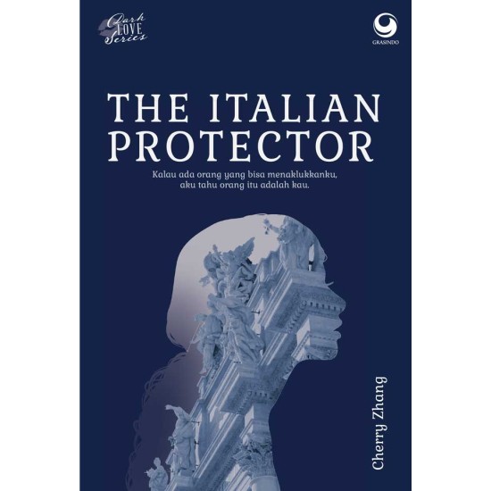 Dark Love Series: The Italian Protector