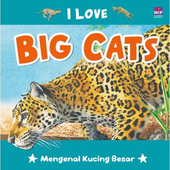 Seri I Love : Big Cats
