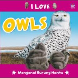 Seri I Love : Owls Seri I Love : Owls