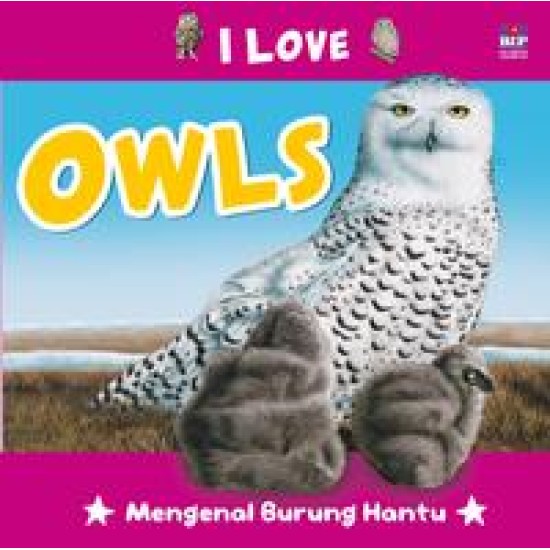 Seri I Love : Owls