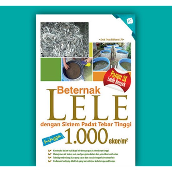 Beternak Lele dengan Sistem Padat Tebar Hingga 1000 Ekor/m2