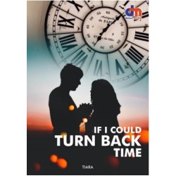If I Could Turn Back Time If I Could Turn Back Time