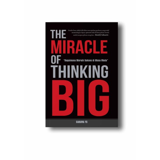 The Miracle of Thinking Big