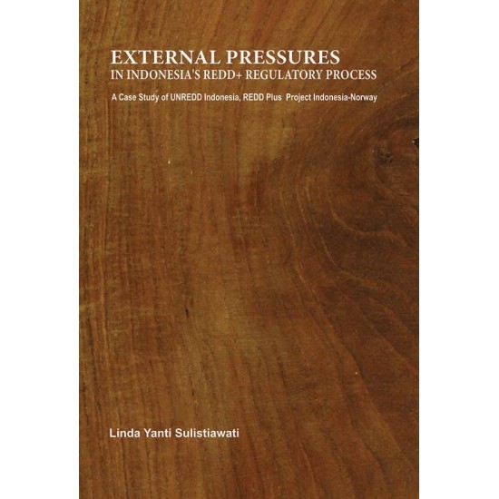 External Pressures In Indonesia's Redd+ Regulatory Process: A Case Study of UNREDD Indonesia REDD Plus Project Indonesia Norway