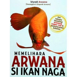 Memelihara Arwana Si Ikan Naga Memelihara Arwana Si Ikan Naga