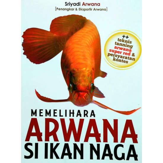 Memelihara Arwana Si Ikan Naga