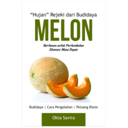 "Hujan" Rejeki dari Budidaya Melon "Hujan" Rejeki dari Budidaya Melon