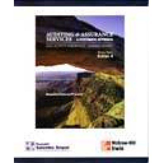Audit & Assurance: Pendekatan Sistematis 1 (ed. 4) - HVS