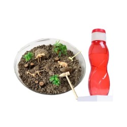 [Gift Not For Sale] Paket Juara 1 #WarnaWarniBibnbooks