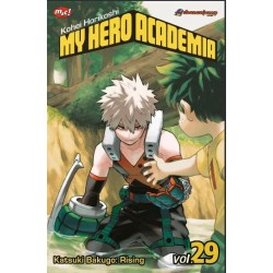 MY HERO ACADEMIA 29