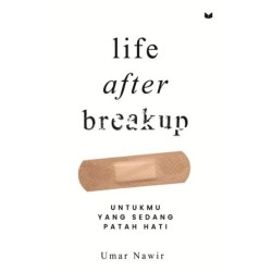 Life After Breakup
