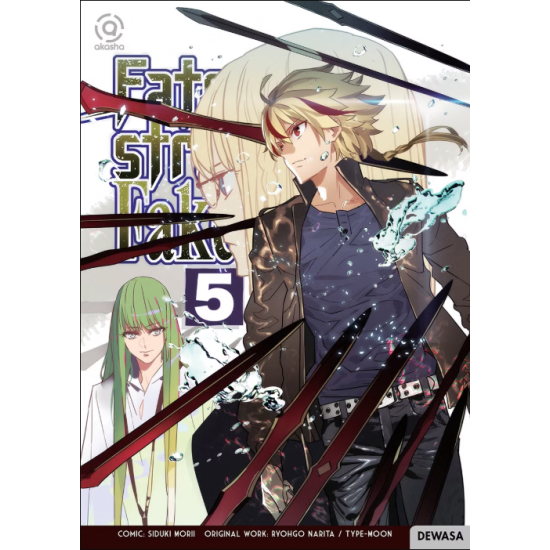 AKASHA : FATE STRANGE FAKE 05