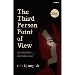 The Third Person Point of View The Third Person Point of View