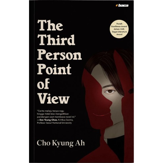 The Third Person Point of View The Third Person Point of View