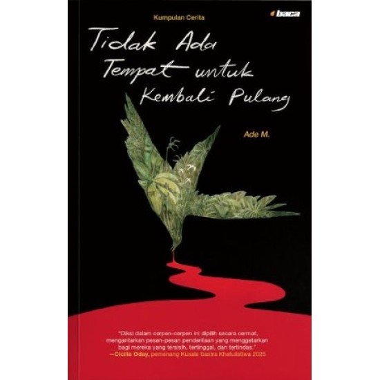 Tidak Ada Tempat untuk Kembali Pulang