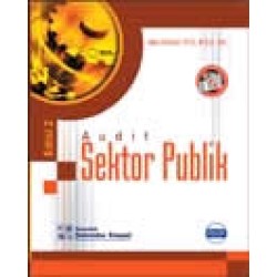 Audit Sektor Publik (e2) Audit Sektor Publik (e2)