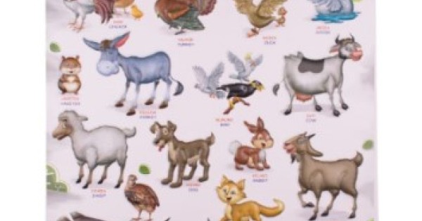 Poster Peraga Pendidikan Hewan Jinak