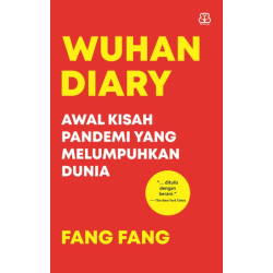 Wuhan Diary