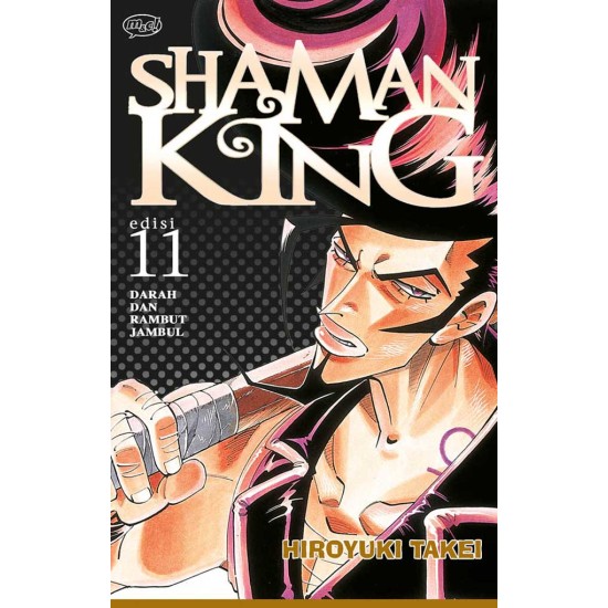 Shaman King 11