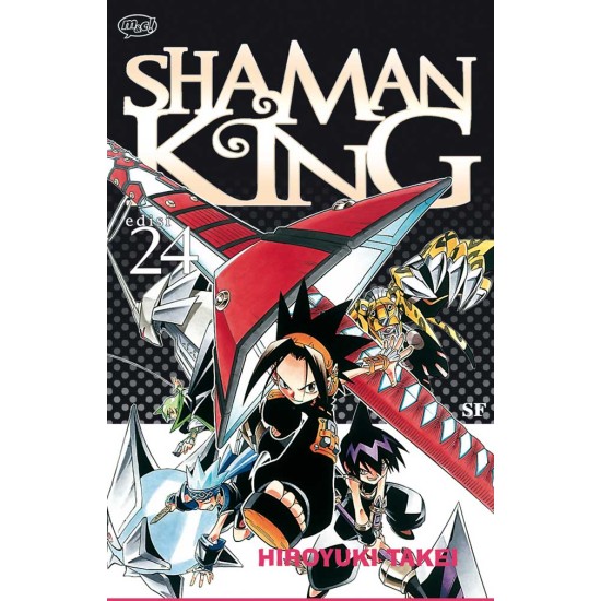 Shaman King 24