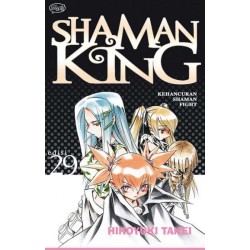 Shaman King 29 Shaman King 29