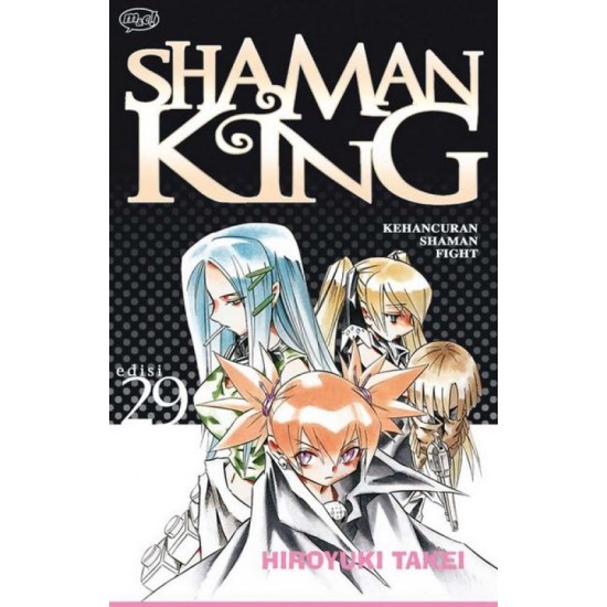 Shaman King 29