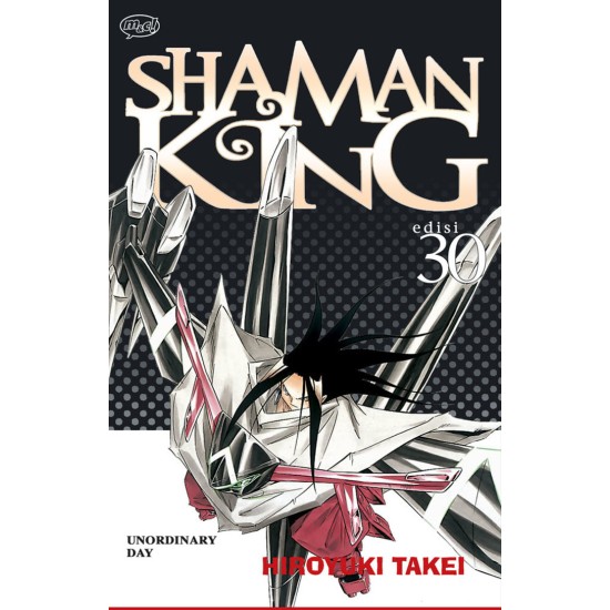 Shaman King 30