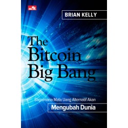 The Bitcoin Big Bang The Bitcoin Big Bang