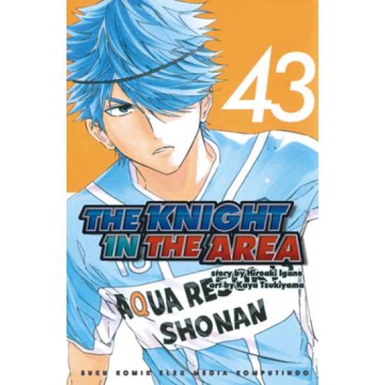 The Knight In The Area 43