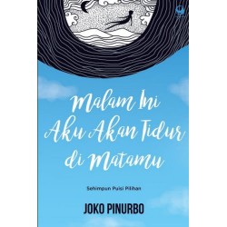 Malam Ini Aku Tidur Di Matamu Malam Ini Aku Tidur Di Matamu