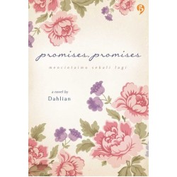 Promises, Promises Promises, Promises