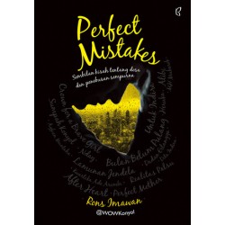 Perfect Mistakes Perfect Mistakes