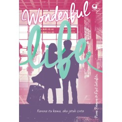 Wonderful Life Wonderful Life